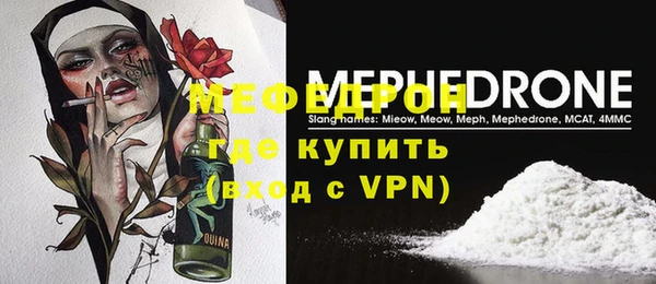 индика Пестово